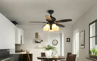 ceiling fan with lights
