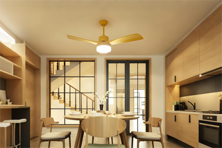Ceiling Fans with Lights