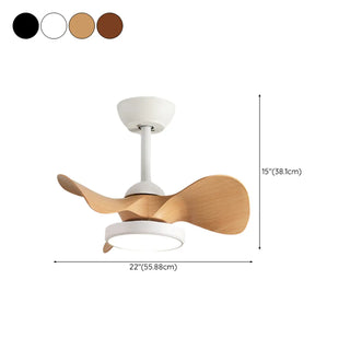 Simple Bedroom 3 Blades Modern LED Ceiling Fan Light Zawala Image - 17