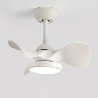 Simple Bedroom 3 Blades Modern LED Ceiling Fan Light Zawala Image - 6